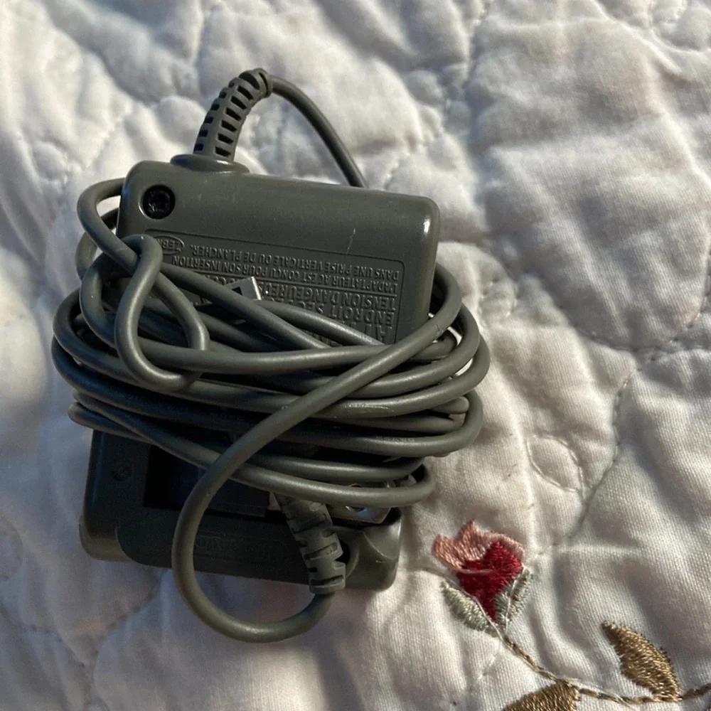 Nintendo charger